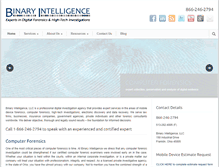 Tablet Screenshot of binaryintel.com